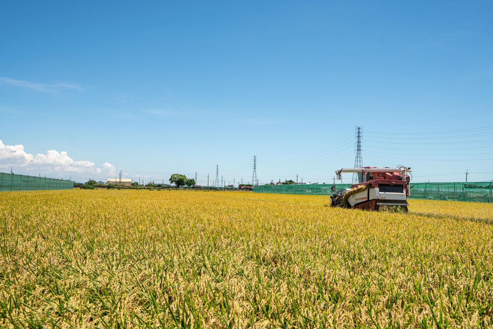 1090617 金農米(農田小檔)-310