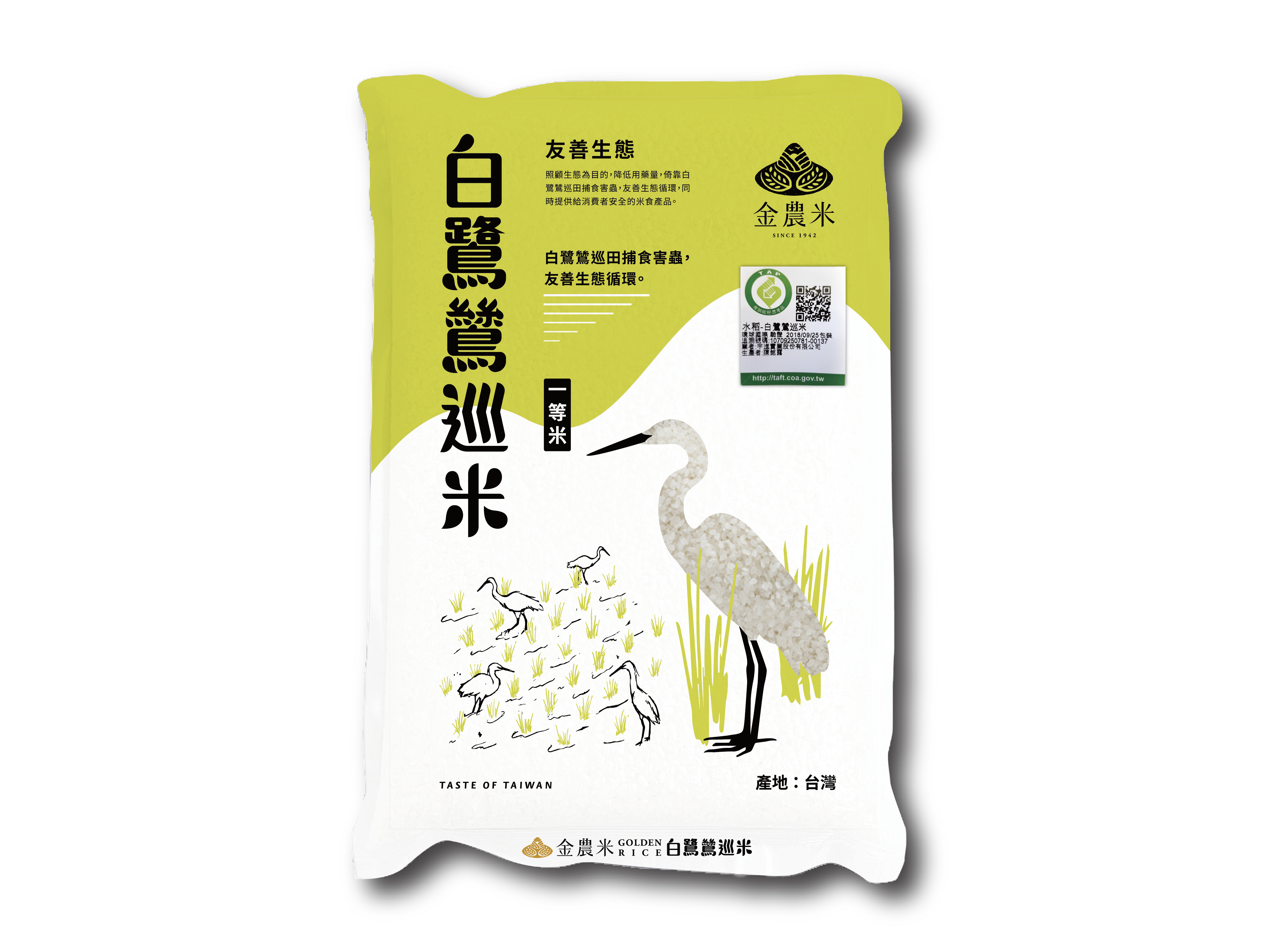 白鷺鷥巡米