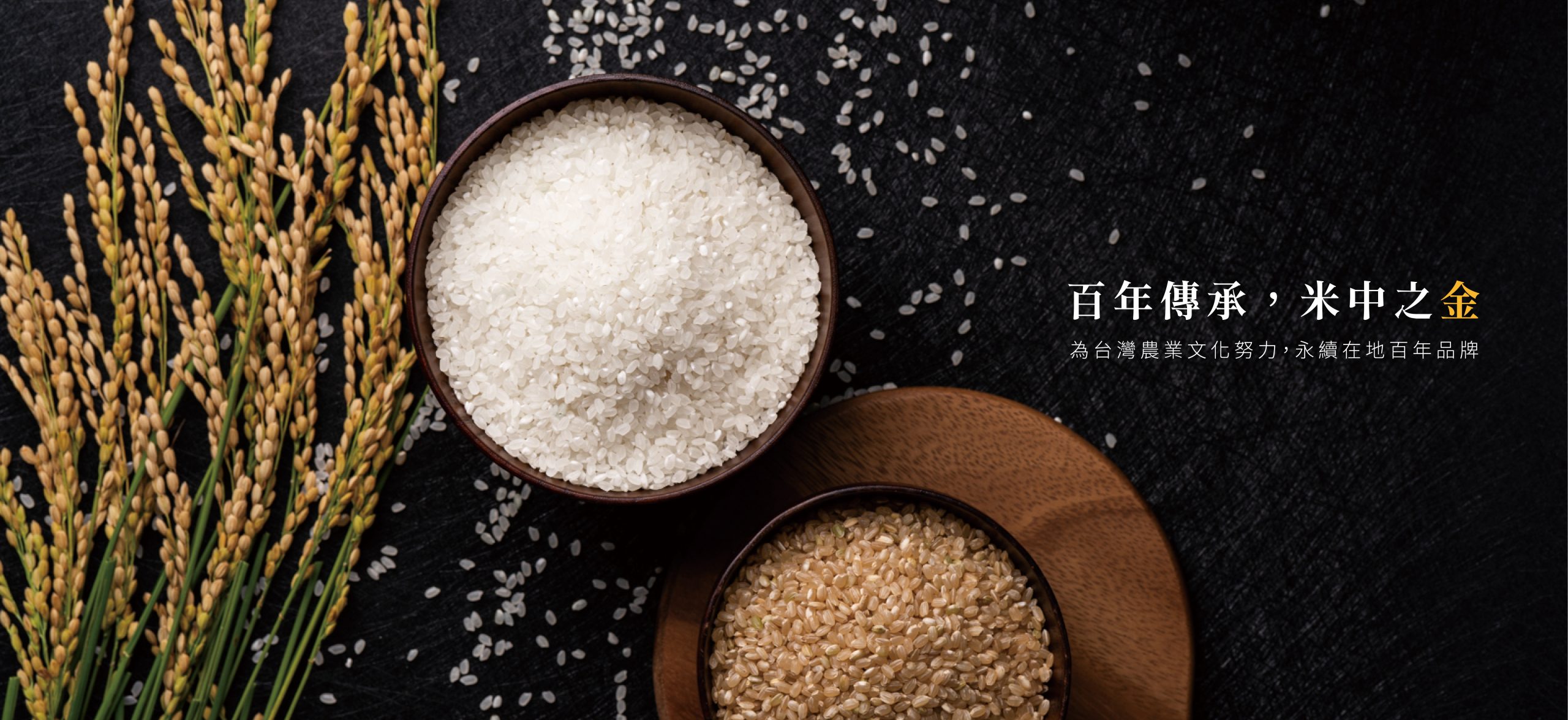 20220412-首頁輪播大圖-04